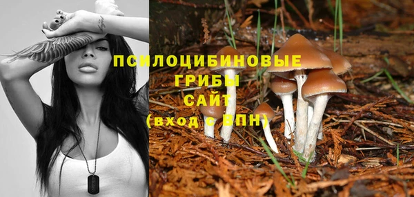 марки lsd Новозыбков