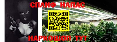 гидра Волжск