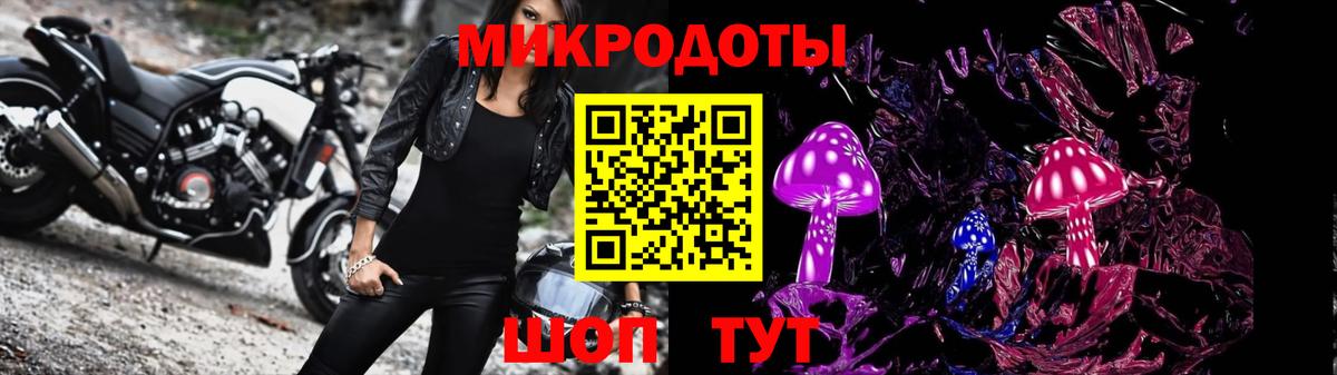 Псилоцибиновые грибы GOLDEN TEACHER Богородицк